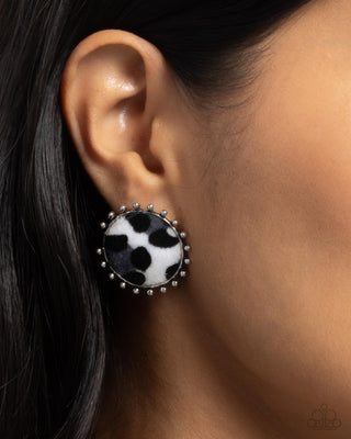 Cowhide Couture - Black - Fuzzy Cow Print Paparazzi Post Earrings - October 2024 Possible Pop-Up Shop Exclusive