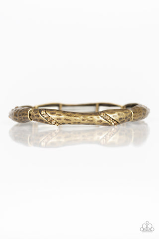 Watch Out for Ice Brass Paparazzi Bracelet