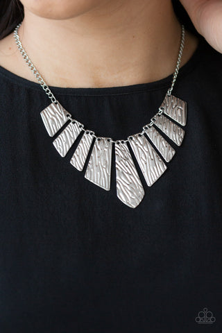 Texture Tigress Silver Paparazzi Necklace